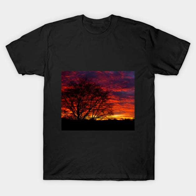 Sunset Tree T-Shirt by Nicole Gath Photography